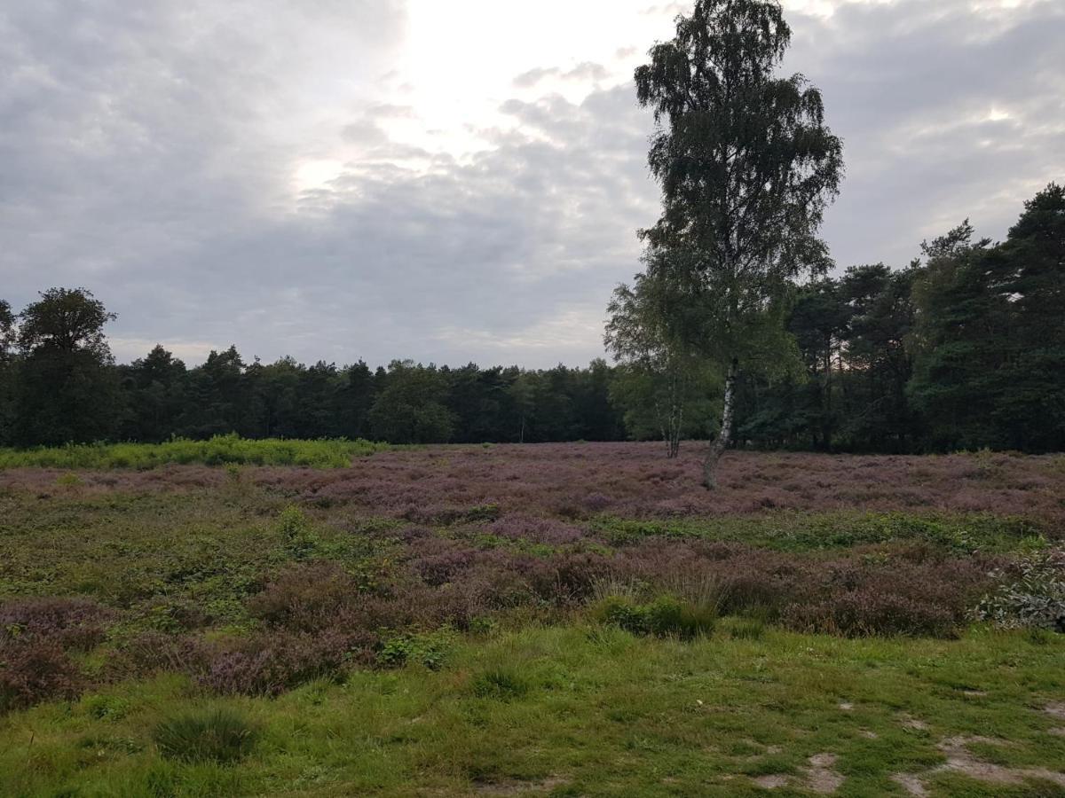 De Lindenhoeve Valthe Eksteriør bilde